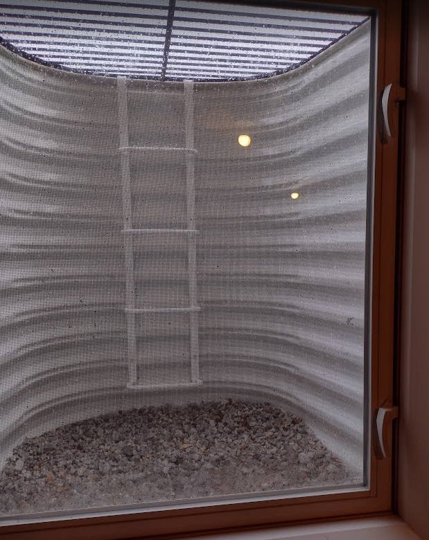 Basement emergency escape and rescue window with an area well and ladder requiring additional IRC analysis.